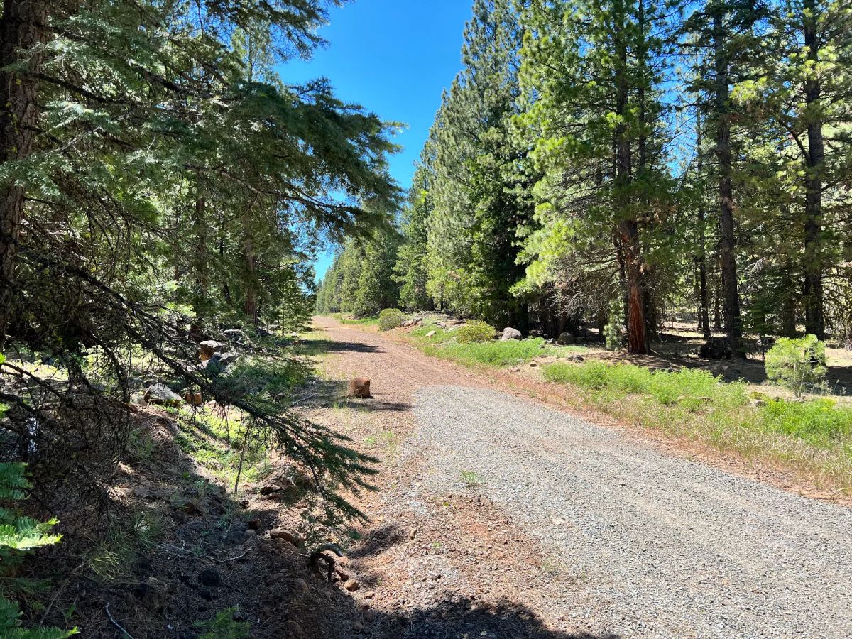 Nearly An Acre, Recent Road Upgrade - Image 2