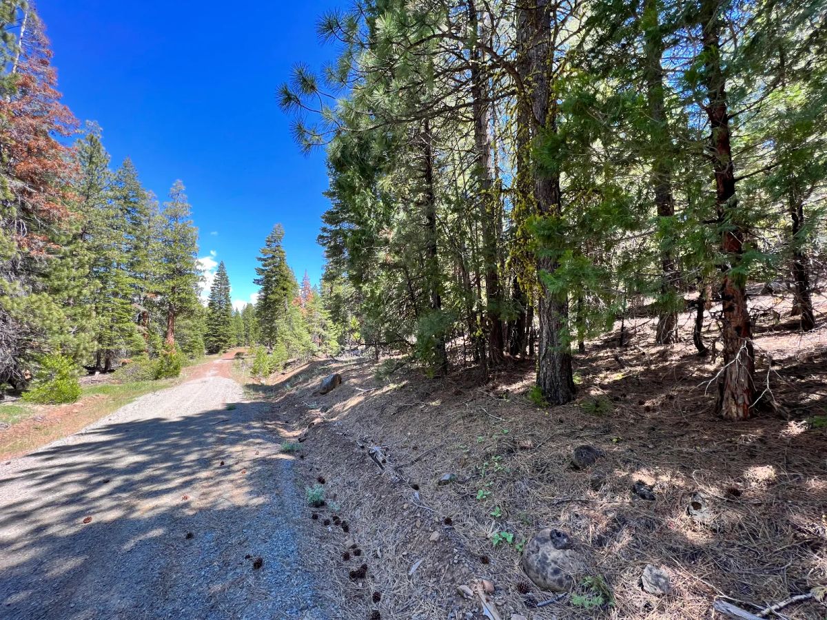 Decorative background for Nearly An Acre, Recent Road Upgrade image 6