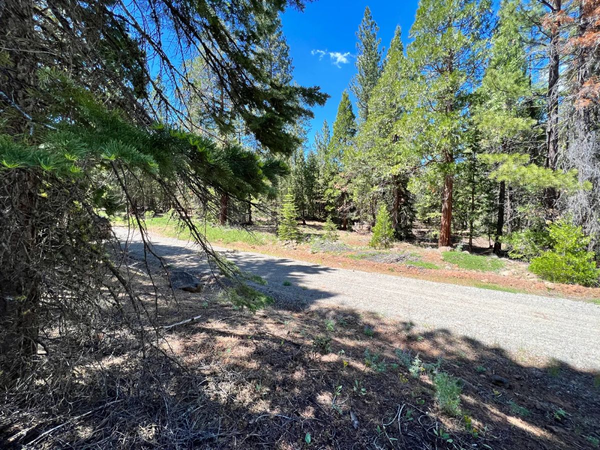 Decorative background for Nearly An Acre, Recent Road Upgrade image 7