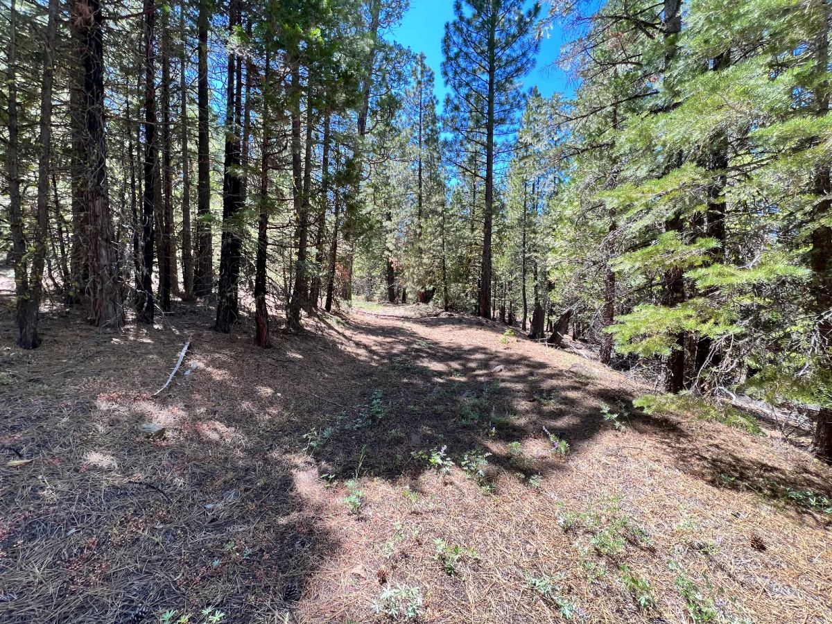 Decorative background for Nearly An Acre, Recent Road Upgrade image 9