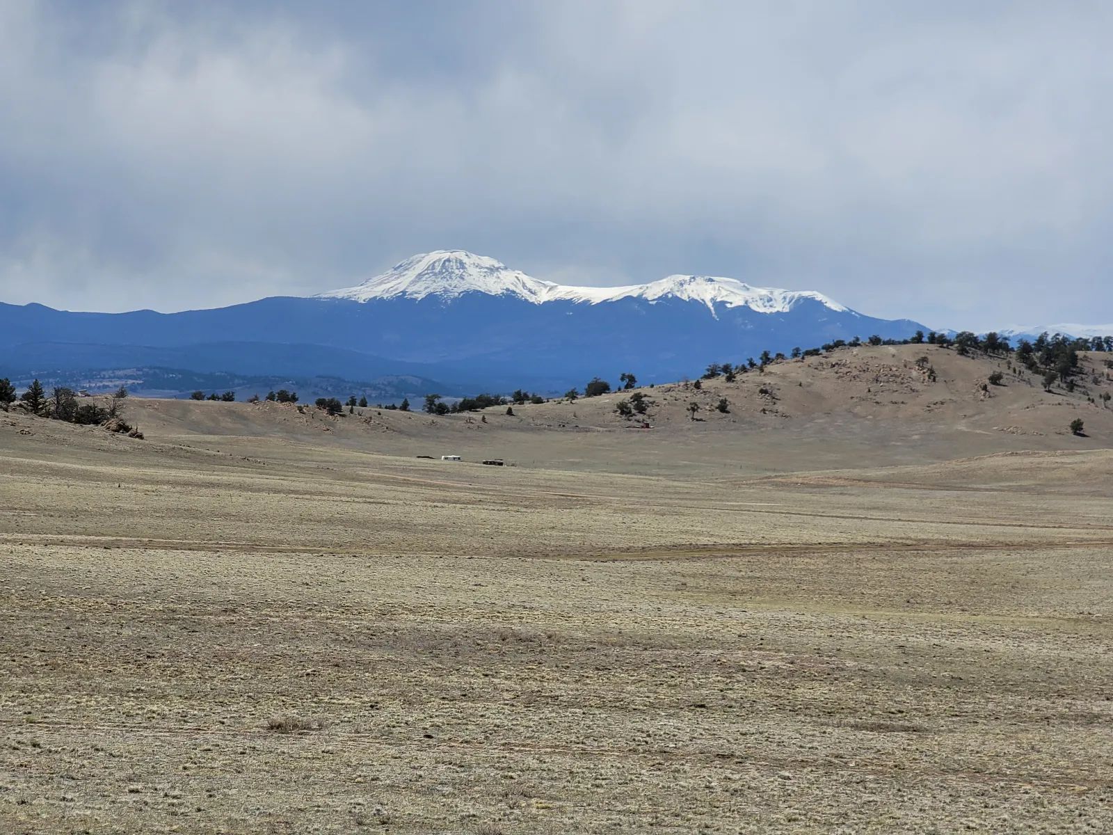 Rare Oversized Colorado Land for Sale by Owner in Park County, CO