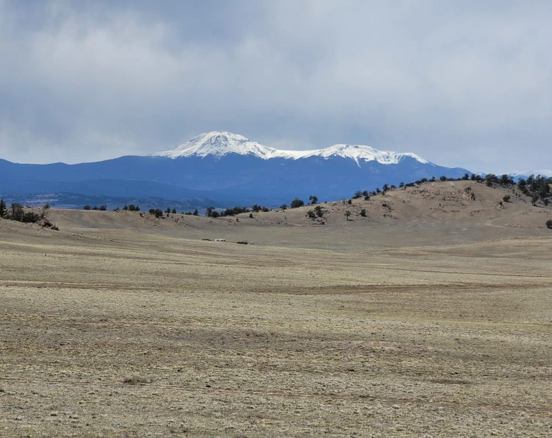 Rare Oversized Colorado Land for Sale by Owner in Park County, CO