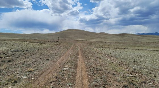 Rare Oversized Colorado Land for Sale by Owner in Park County, CO