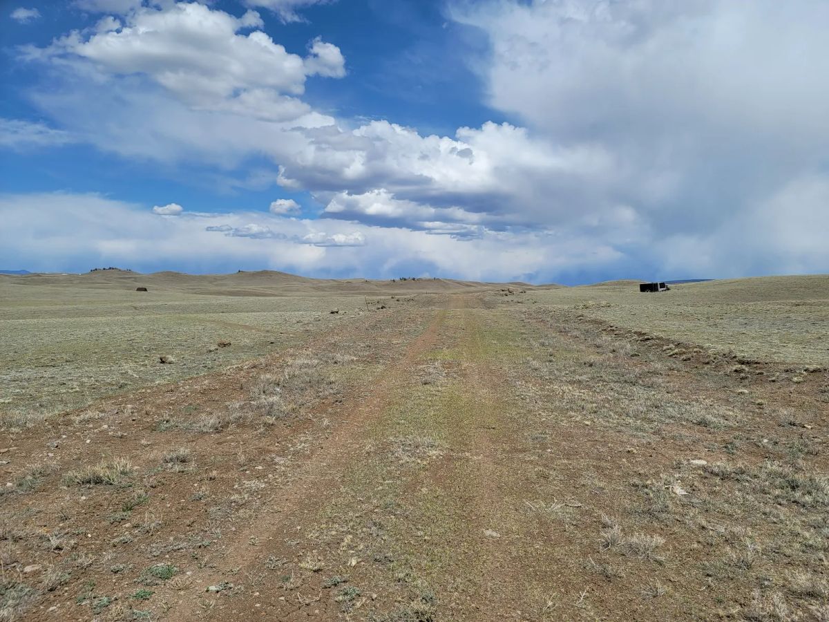 Rare Oversized Colorado Land for Sale by Owner - Image 3