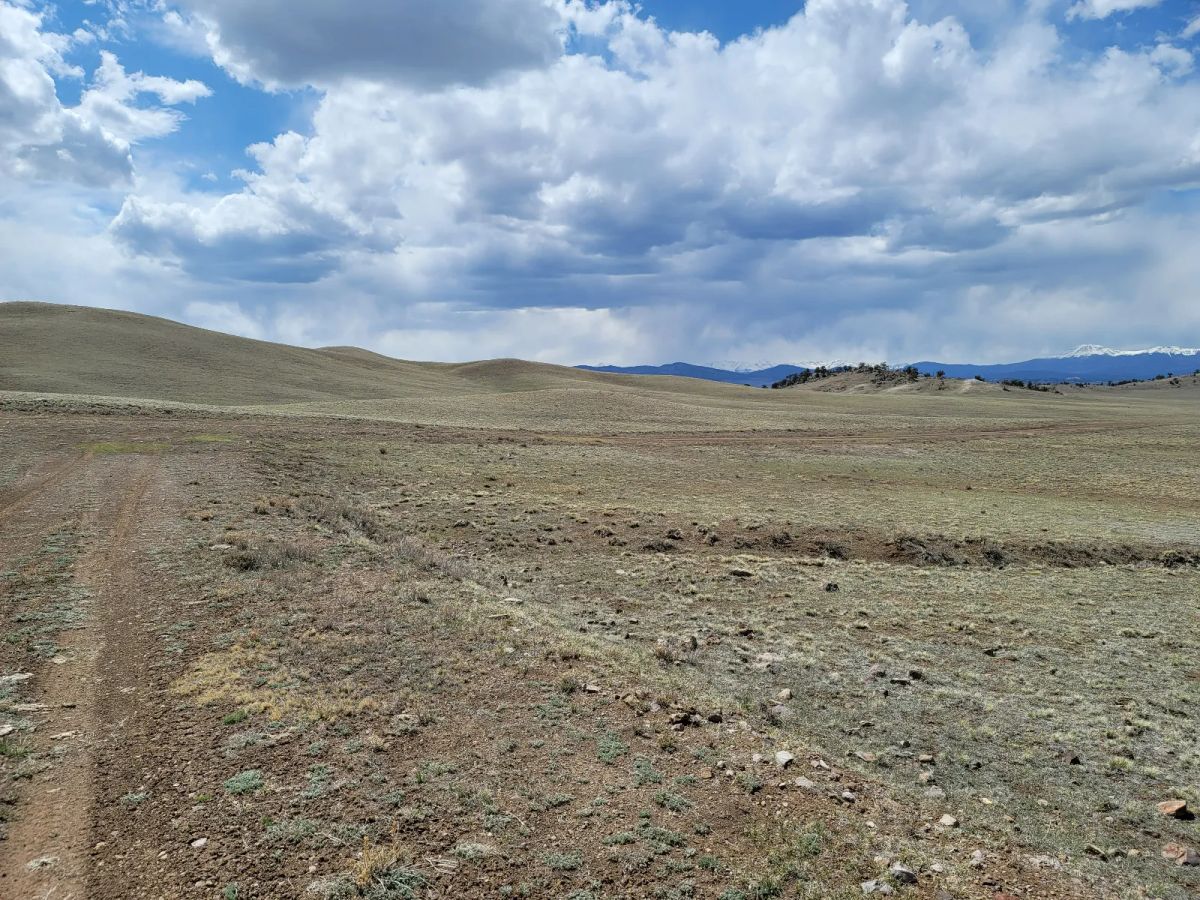 Decorative background for Rare Oversized Colorado Land for Sale by Owner image 5