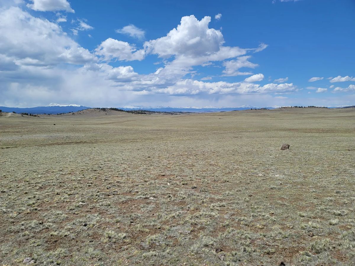 Decorative background for Rare Oversized Colorado Land for Sale by Owner image 7