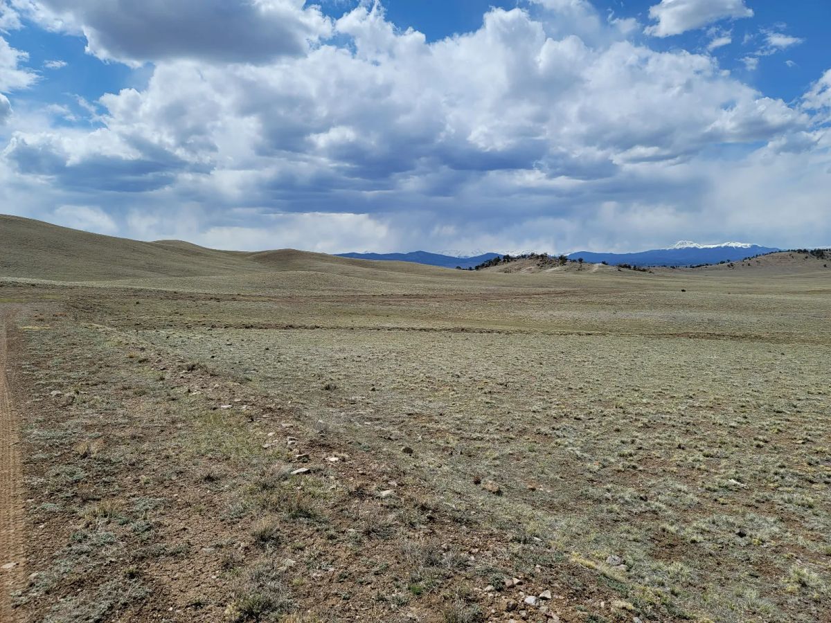 Decorative background for Rare Oversized Colorado Land for Sale by Owner image 8