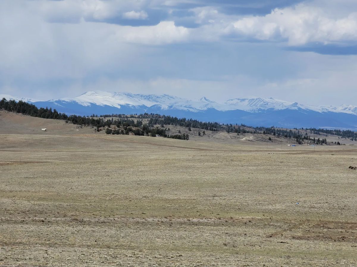 Decorative background for Rare Oversized Colorado Land for Sale by Owner image 9