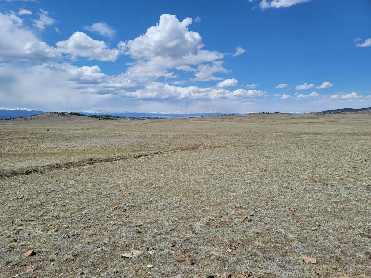 Decorative background for Rare Oversized Colorado Land for Sale by Owner image 10