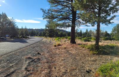 Great Community around Lake Shastina
