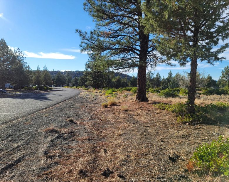 Great Community around Lake Shastina in Siskiyou County, CA
