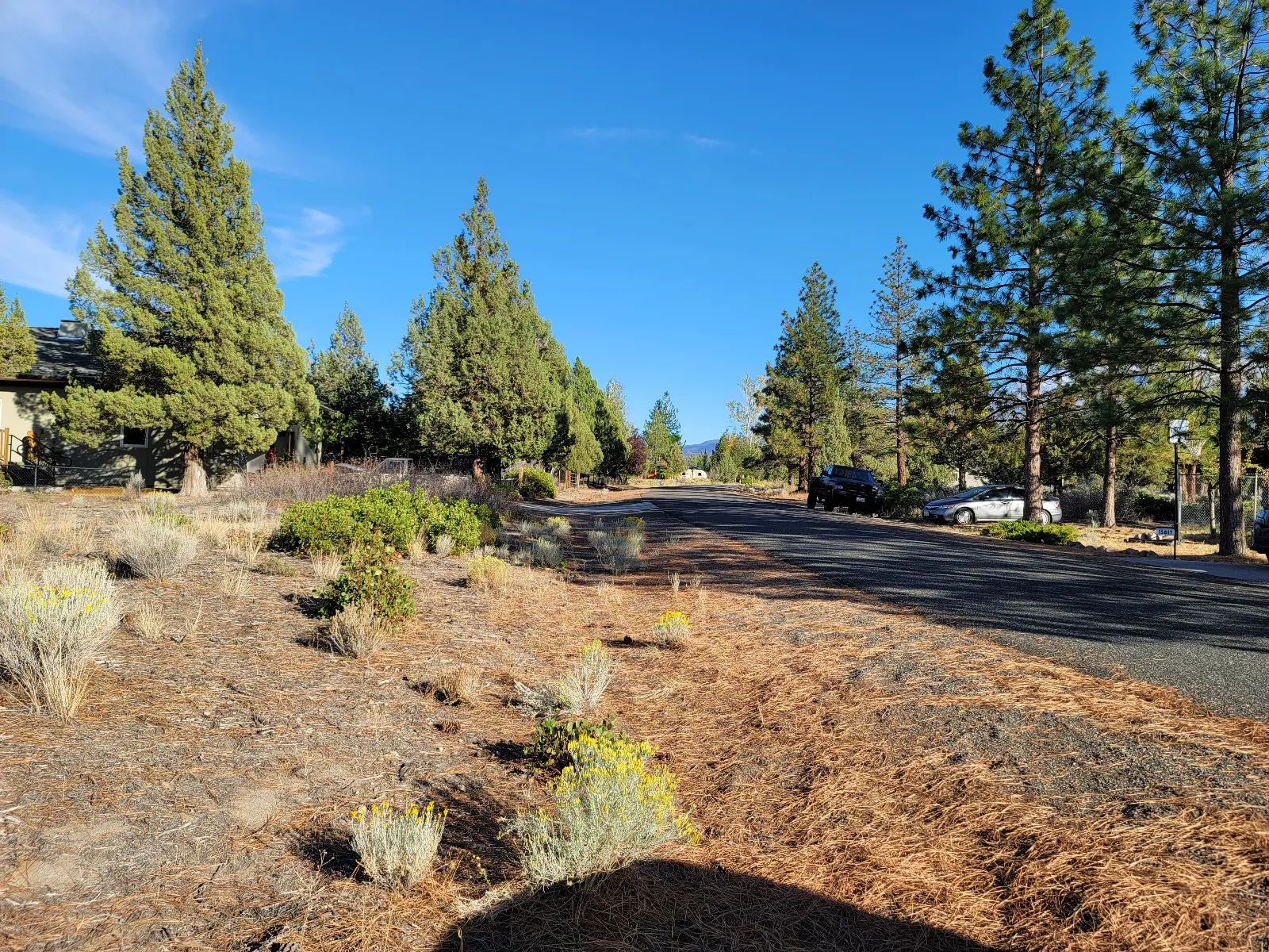 Great Community around Lake Shastina in Siskiyou County, CA