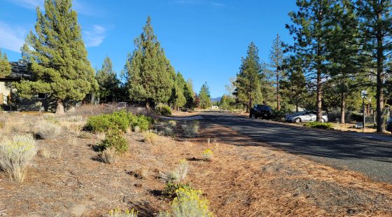 Great Community around Lake Shastina in Siskiyou County, CA