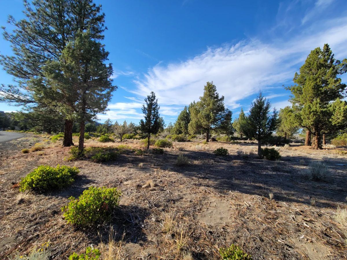 Great Community around Lake Shastina - Image 3