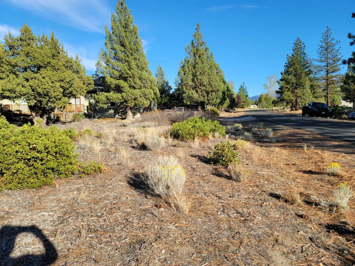 Great Community around Lake Shastina - Image 4