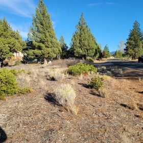 Great Community around Lake Shastina in Siskiyou County, CA