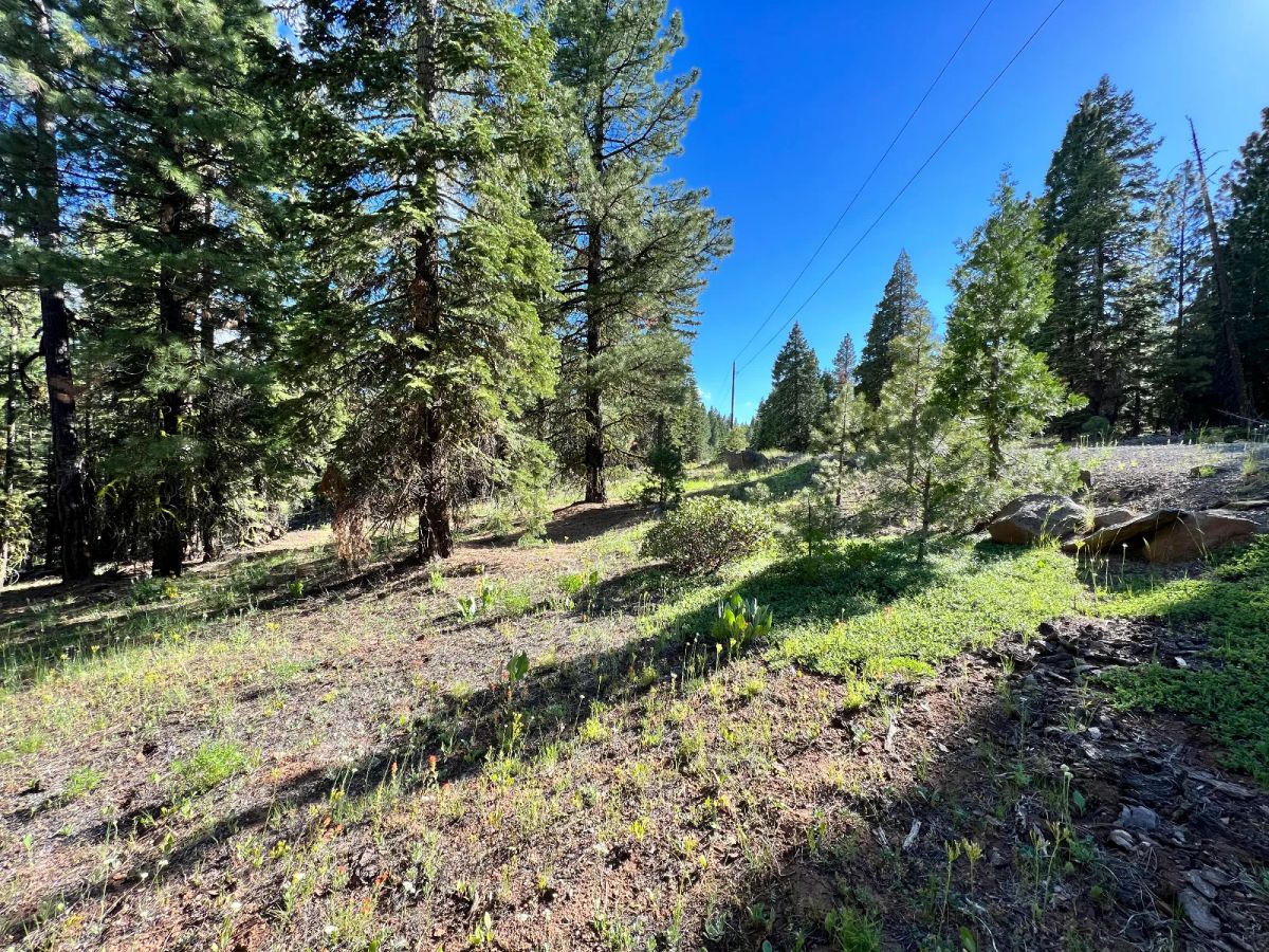 County Maintained Road with Power - Image 3