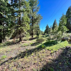 County Maintained Road with Power in Modoc County, CA