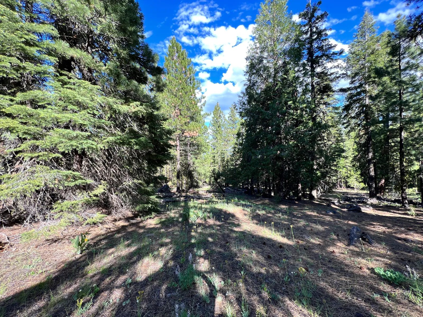 County Maintained Road with Power in Modoc County, CA