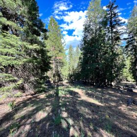 County Maintained Road with Power in Modoc County, CA