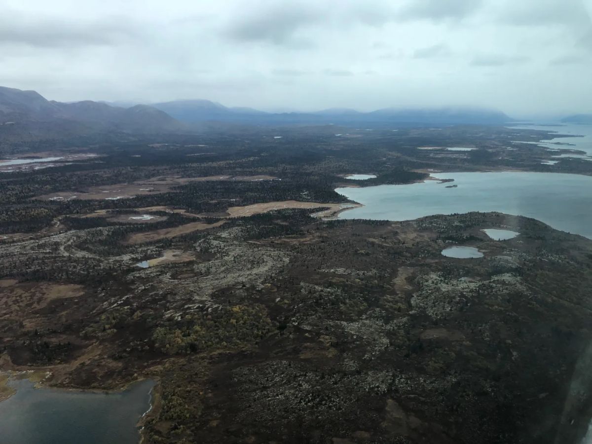 Decorative background for Over 850 Feet of Lake Frontage on Largest Lake in Alaska image 6