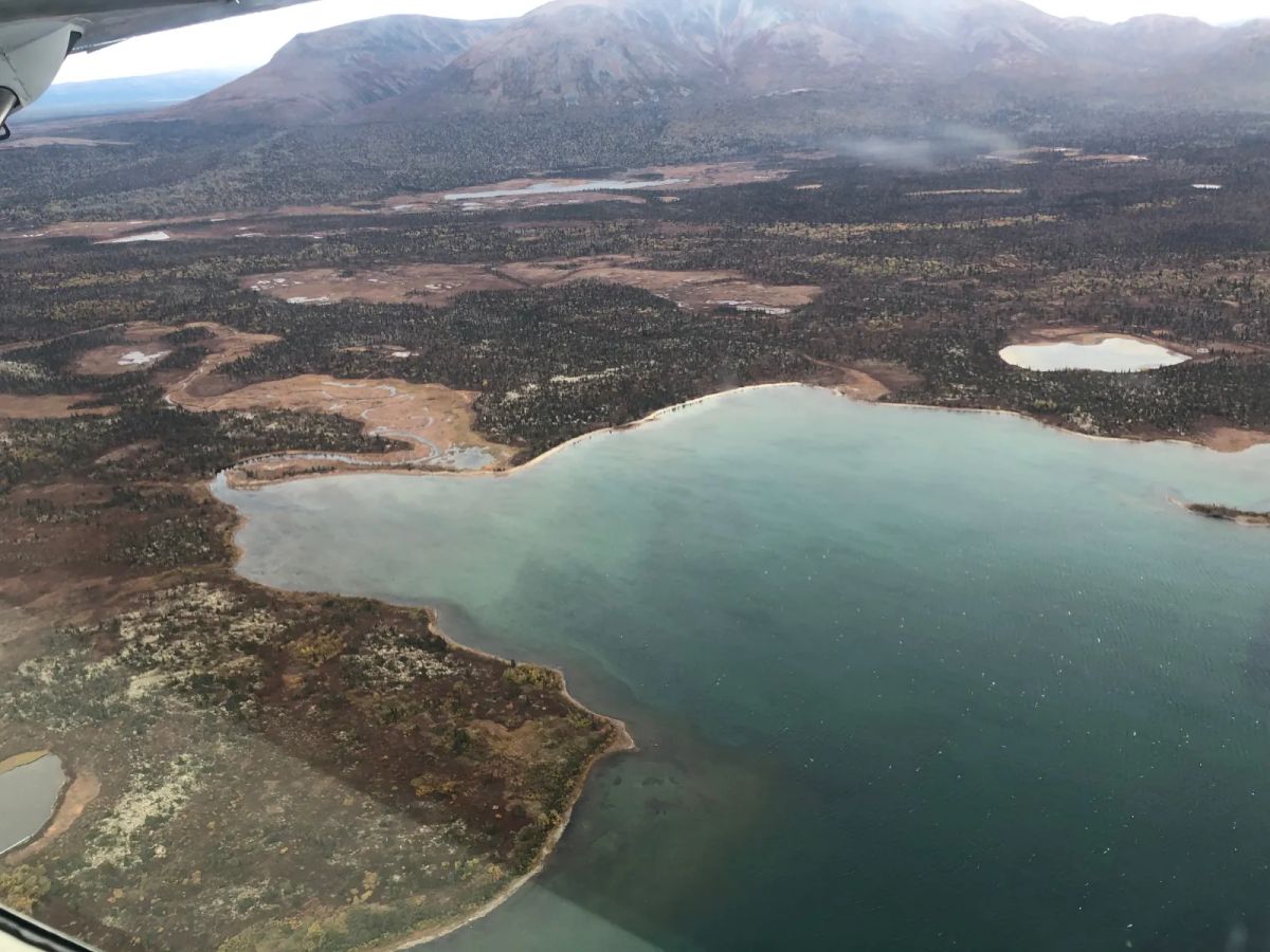 Decorative background for Over 850 Feet of Lake Frontage on Largest Lake in Alaska image 10