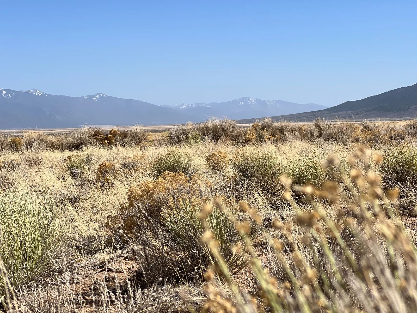 Land for Sale by Owner in Costilla County, CO