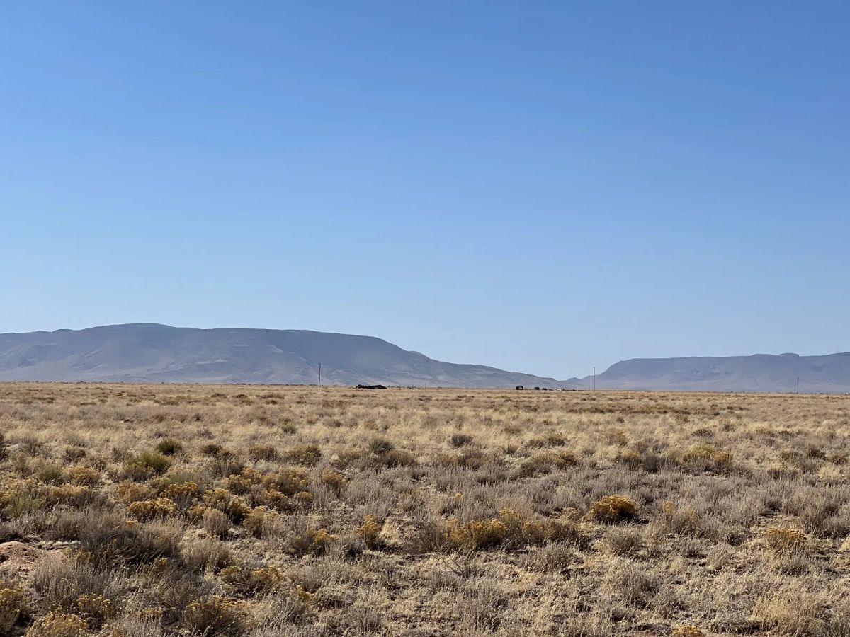 Decorative background for Land for Sale by Owner image 7