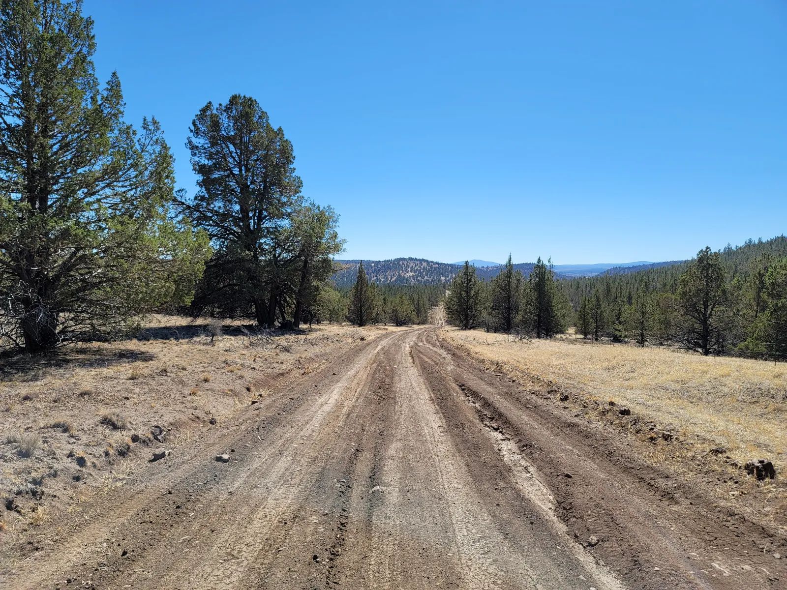 Near Modoc National Forest in Modoc County, CA