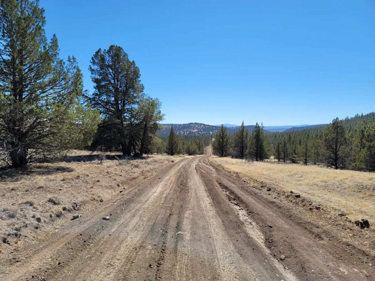 Near Modoc National Forest - Main image