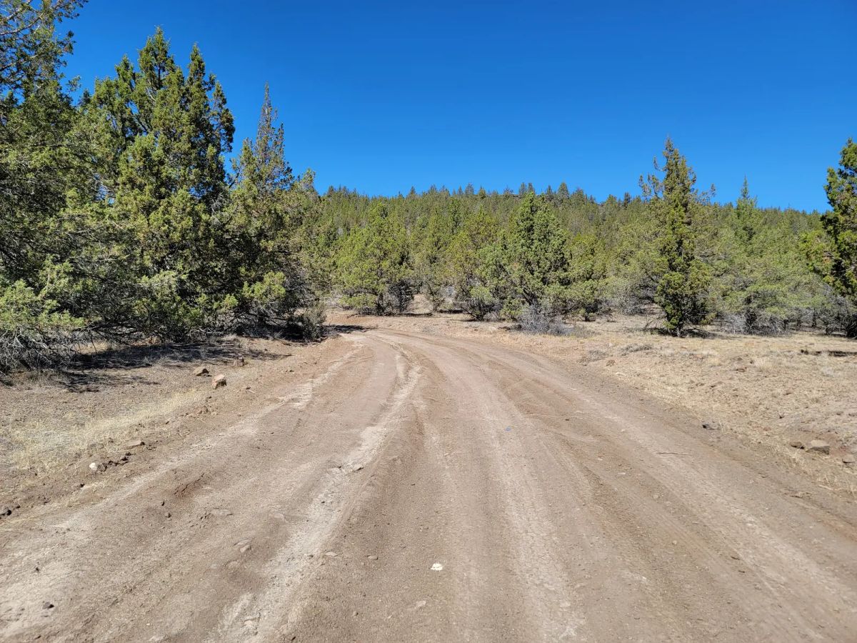 Near Modoc National Forest - Image 2