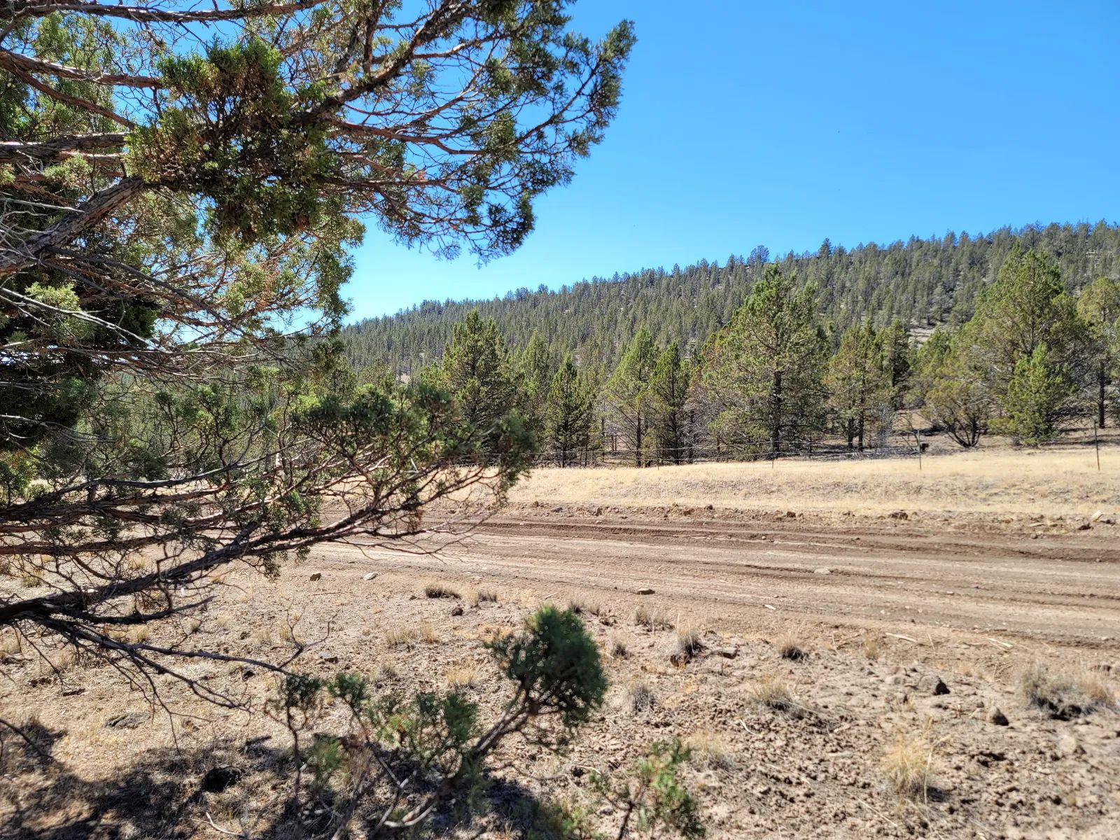 Near Modoc National Forest in Modoc County, CA