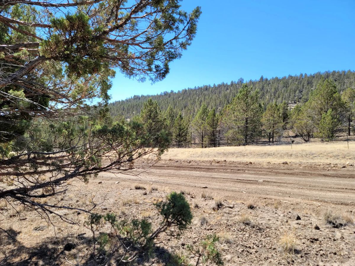 Near Modoc National Forest - Image 3