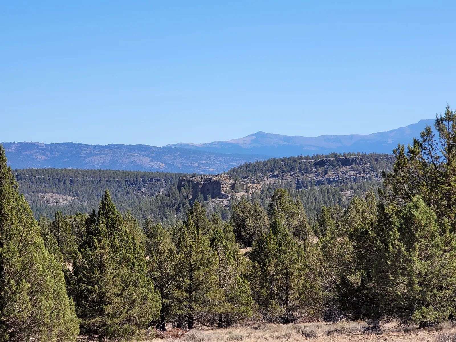 Near Modoc National Forest in Modoc County, CA