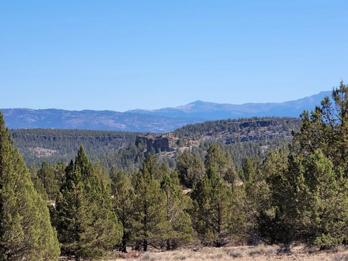 Near Modoc National Forest - Image 4