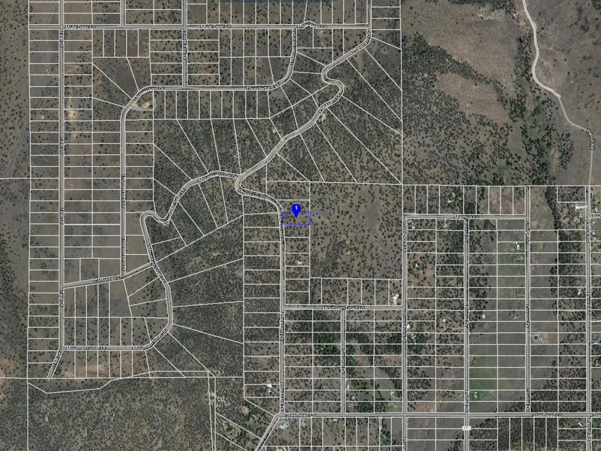 Decorative background for Near Modoc National Forest image 17