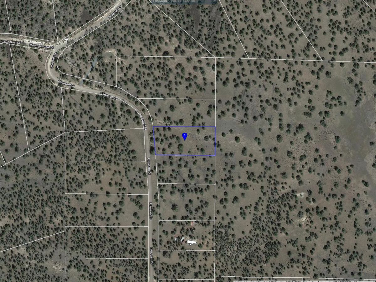 Decorative background for Near Modoc National Forest image 18