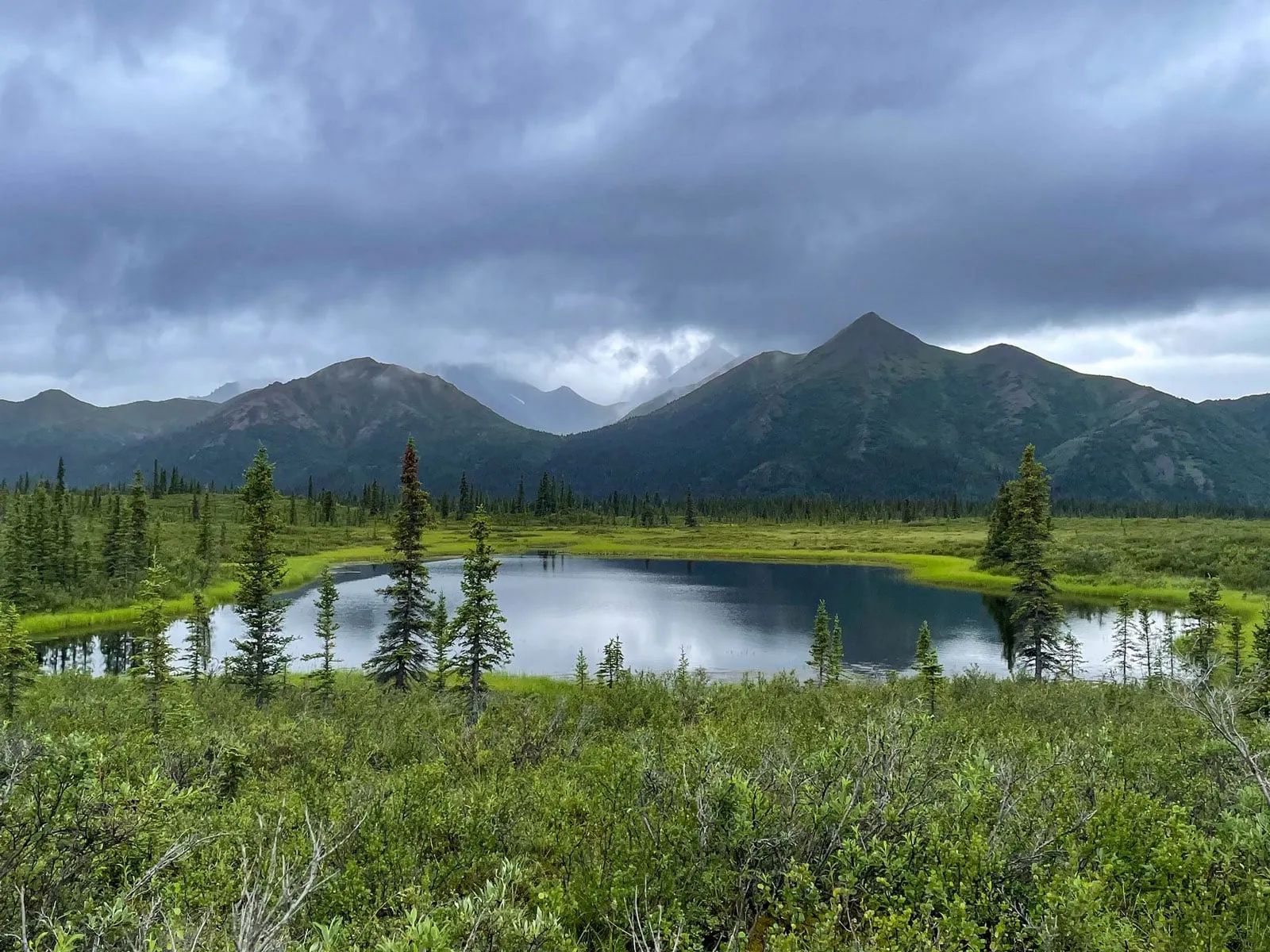 Wooded Seclusion in Matanuska-Susitna County, AK