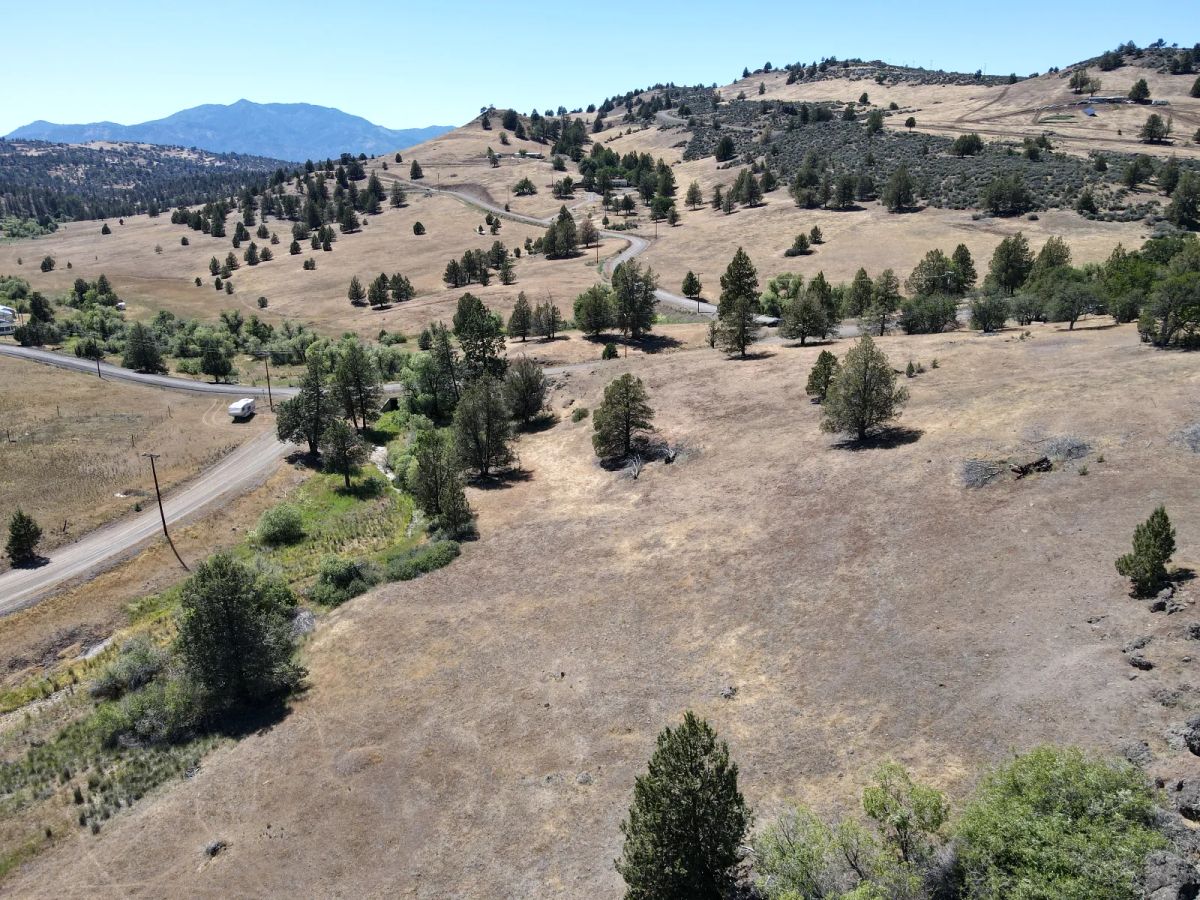 Decorative background for Close to Klamath River, Great Views, Power at Street image 6