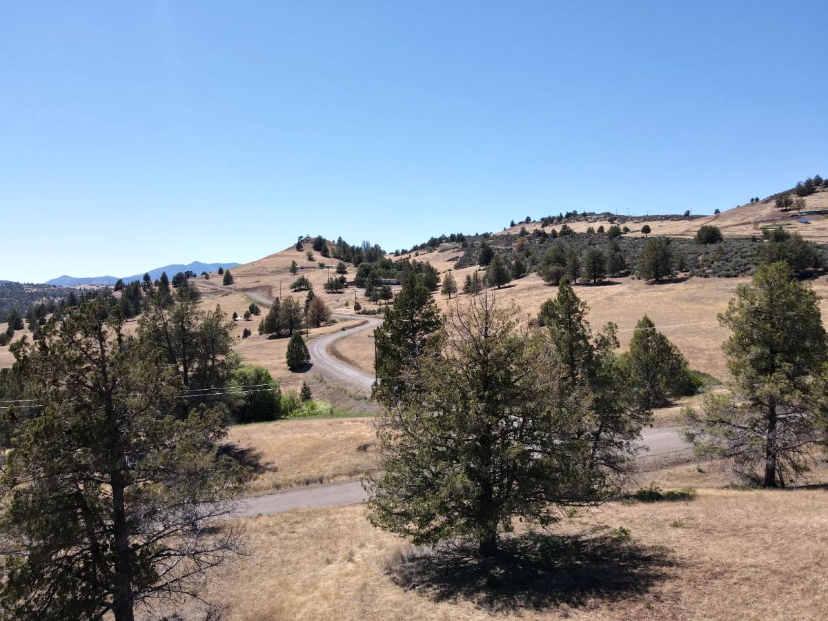 Decorative background for Close to Klamath River, Great Views, Power at Street image 7