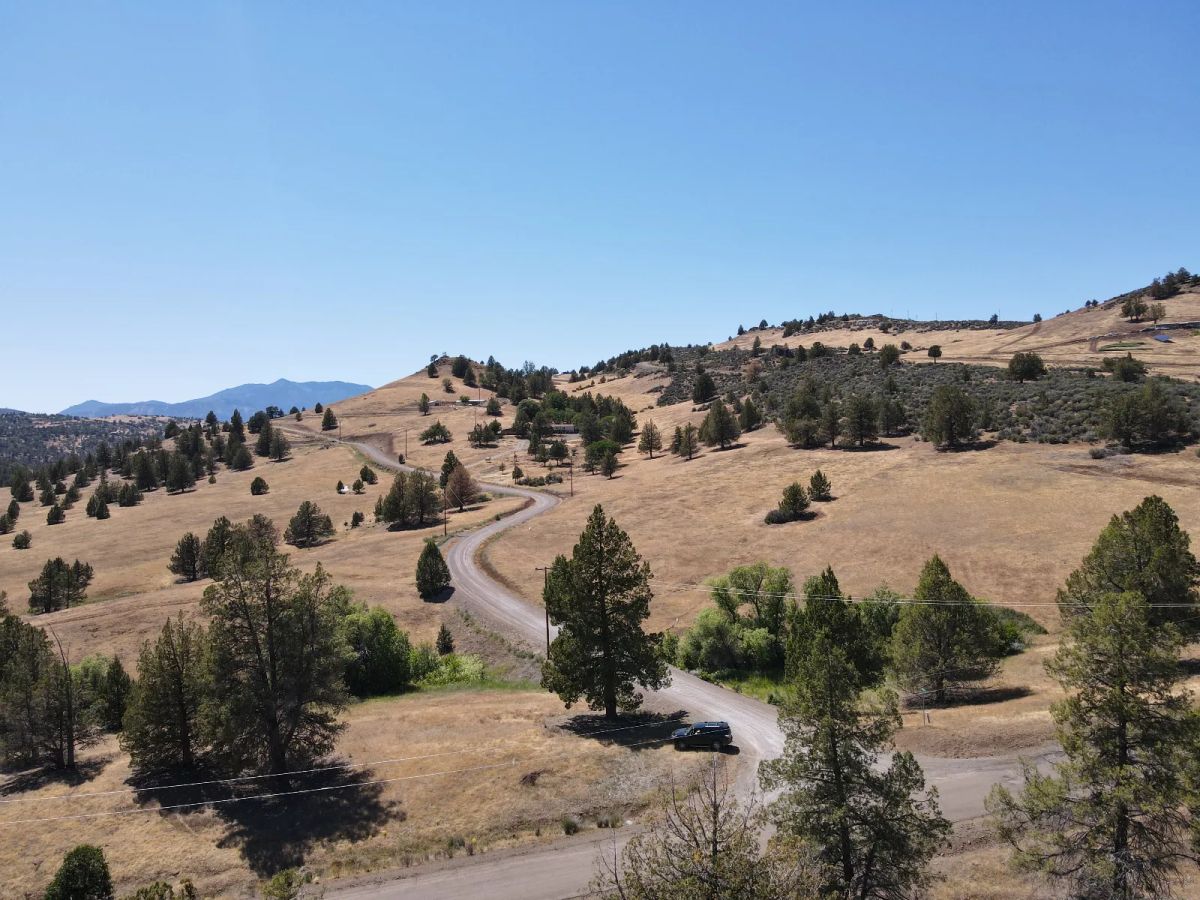 Decorative background for Close to Klamath River, Great Views, Power at Street image 8