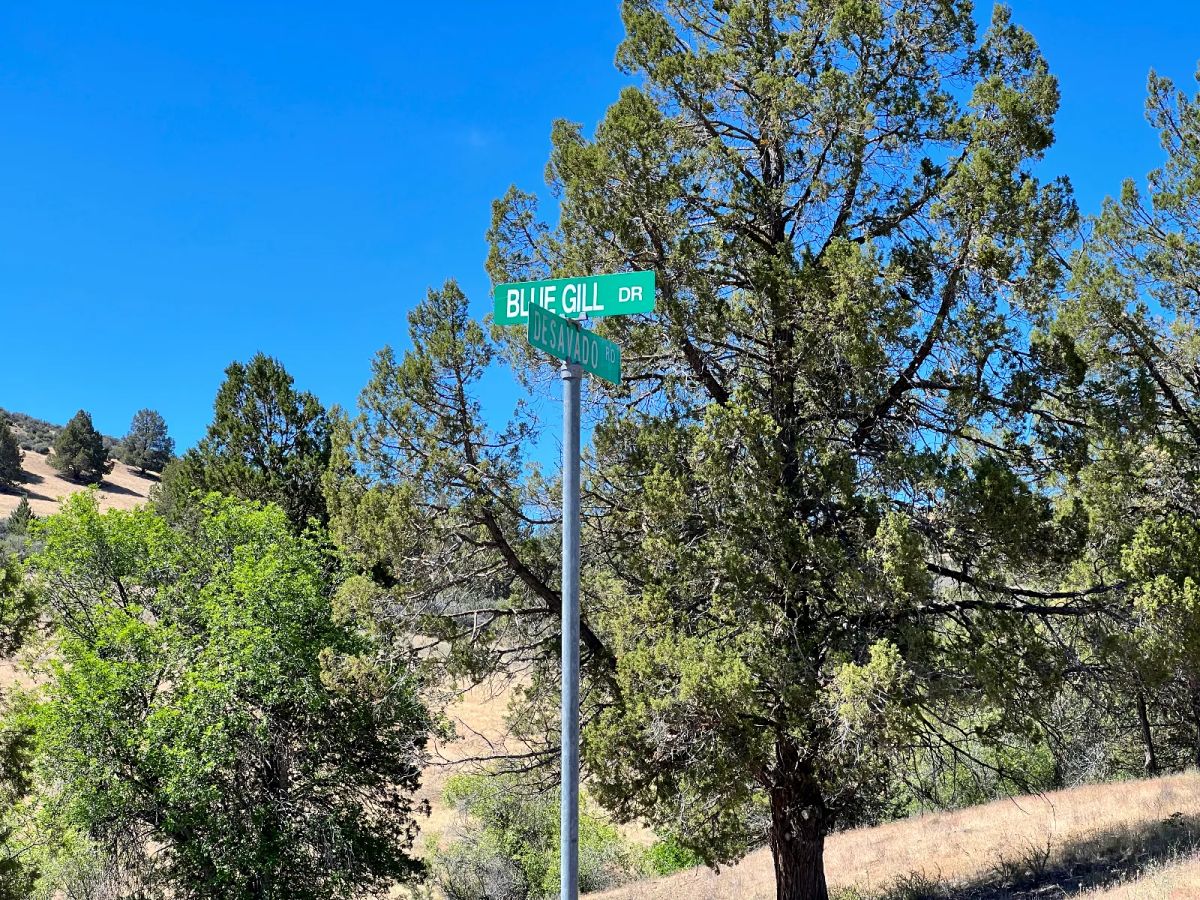 Decorative background for Close to Klamath River, Great Views, Power at Street image 9