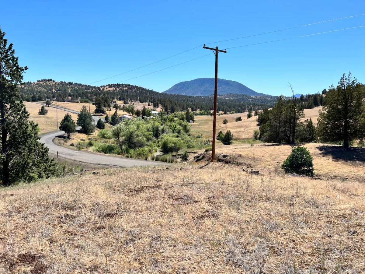 Decorative background for Close to Klamath River, Great Views, Power at Street image 10