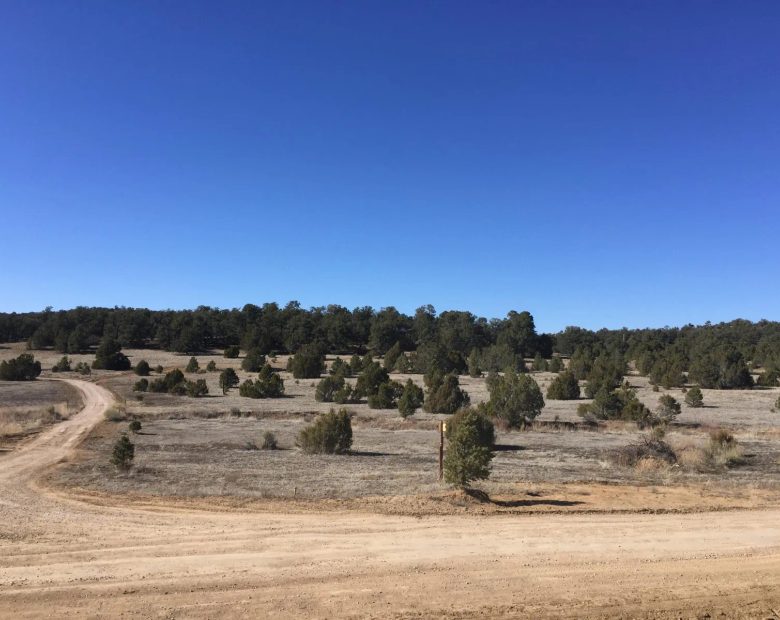 Power at the Street, Endless Views in Cibola County, NM