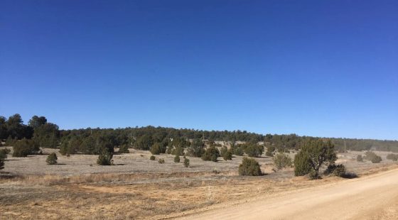 Power at the Street, Endless Views in Cibola County, NM