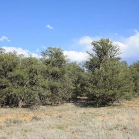 Power at the Street, Endless Views in Cibola County, NM