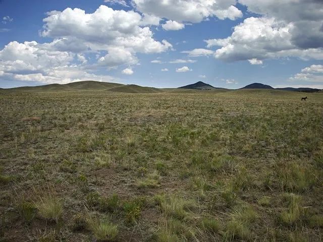 Near Hunting and Fishing in Park County, CO