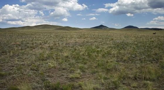 Near Hunting and Fishing in Park County, CO