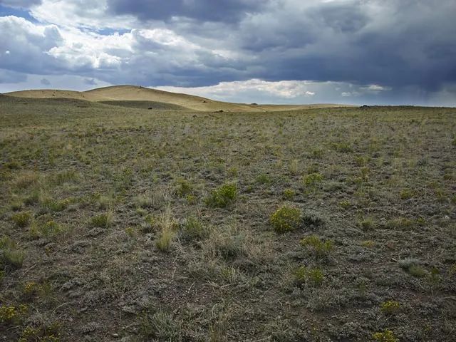 Near Hunting and Fishing - Image 3