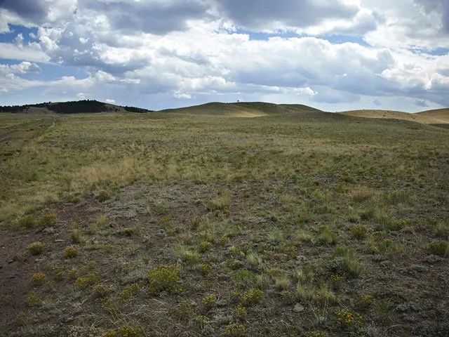 Near Hunting and Fishing in Park County, CO